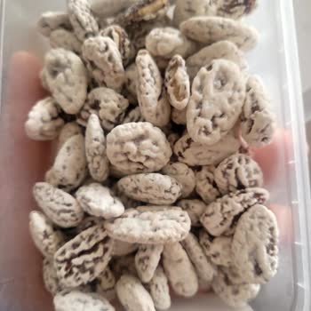 Trendyol’da Badem Şekeri Kaplaması Yok, İade Talebi