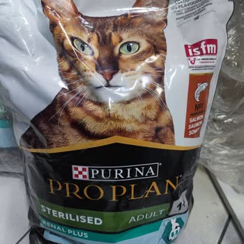 N11'de Satın Alınan Kedi Maması Orijinal Değil Ve Fatura Yok