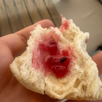 İlkgün Ahududu Reçelinde Böcek Tespiti Gıda Güvenliği Skandalı