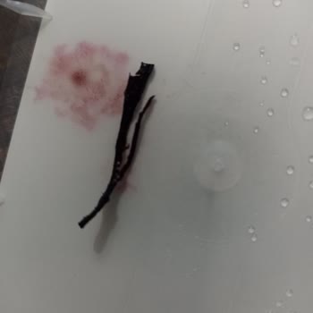 Golf Dondurma’da Plastik Yabancı Parça Çıktı: Sağlık Endişesi Ve Güven Kaybı