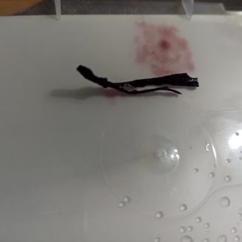 Golf Dondurma’da Plastik Yabancı Parça Çıktı: Sağlık Endişesi Ve Güven Kaybı