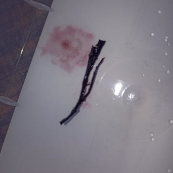 Golf Dondurma’da Plastik Yabancı Parça Çıktı: Sağlık Endişesi Ve Güven Kaybı