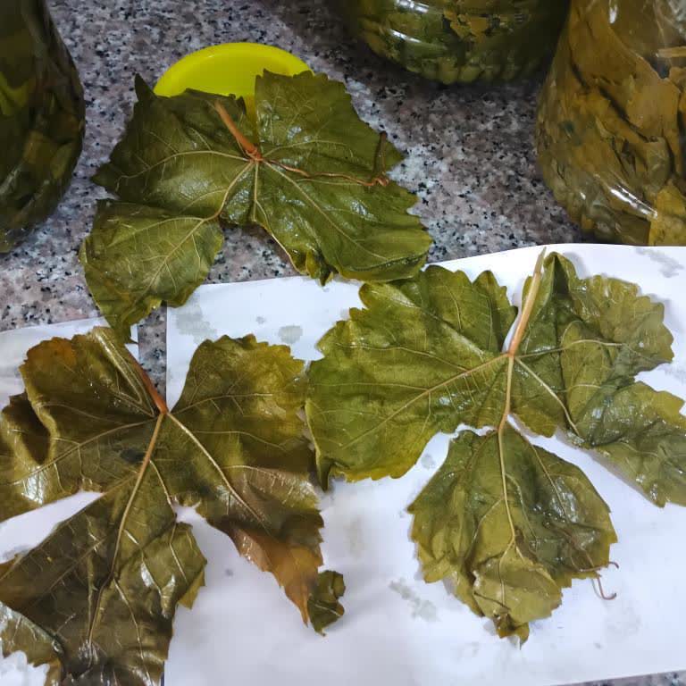 Çürük Bağ Yaprağı Siparişi Ve Tam İade Talebi