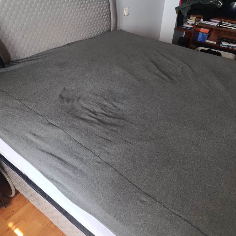 İki Kez Çöken Yatak Ve Uzun Süreli Servis Sorunları Nedeniyle Ücret İadesi Talebi