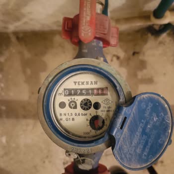 Sayaç Okuma Görevlisinin İhmali Üzerine İnceleme Ve Düzeltme Talebi