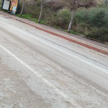 Bulvardaki Asfalt Bozulması ve Yeniden Döşeme Talebi