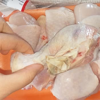 Tazem Bu piliç Şikayeti