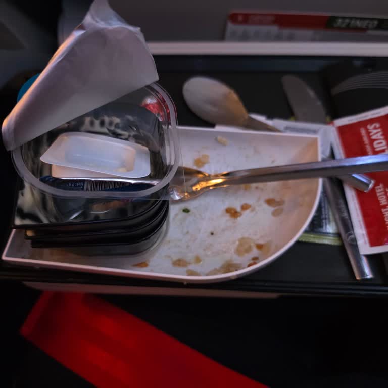 Uçuşta Servis Edilen Yemekteki Sert Cisim Nedeniyle Diş Kırılması Ve Tedavi Masrafları