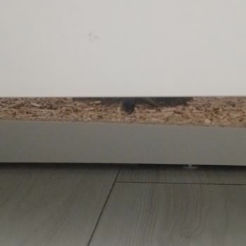 Renk Değişiminde Fahiş Kesinti Ve Yüksek Fiyat Farkı