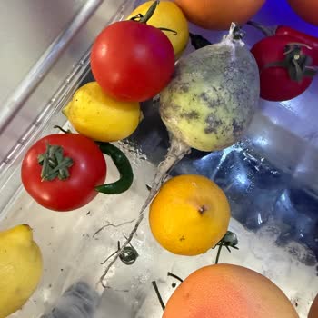 Arçelik Buzdolabının Sebzelik Kısmındaki Sürekli Terleme Sorunu, Değişim Veya İade Talebi