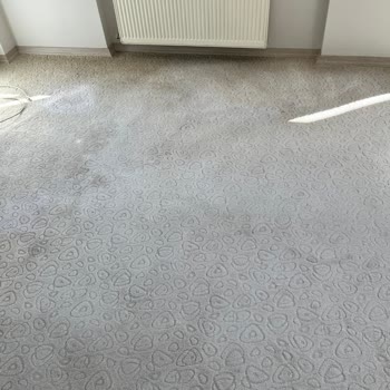 Profesyonel Halıflex Temizliği Sözde, Gerçekte Yetersiz Ve Çamaşır Suyu Kullanımıyla Bozuldu
