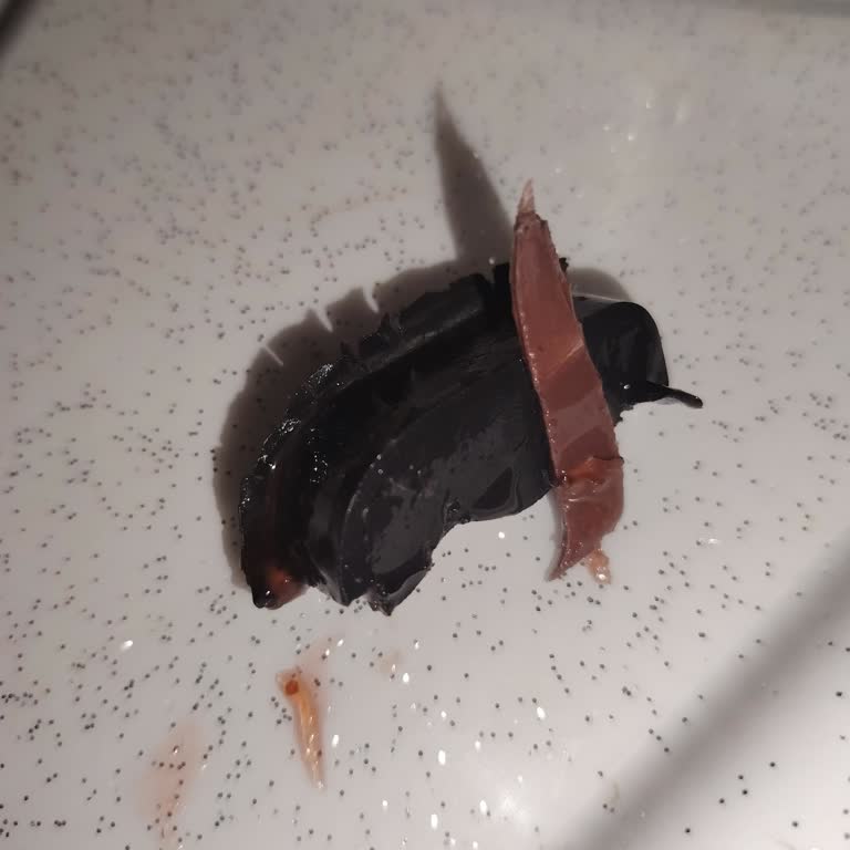 İlkgün Çilek Reçelinde Plastik Parça Bulundu