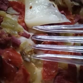 Pizza Üzerinde Böcek Bulunması Hijyen İhlali