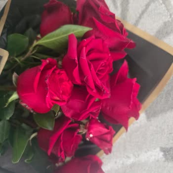 Sevgililer Günü Çiçeği Kırık Ve Solmuş: İade Talebi