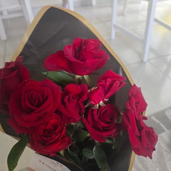 Sevgililer Günü Çiçeği Kırık Ve Solmuş: İade Talebi