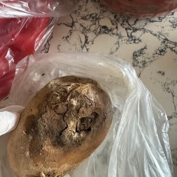 Mopaş'tan Çürük Sebzeler Teslim Edildi