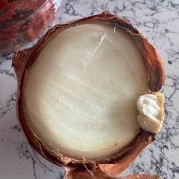 Mopaş'tan Çürük Sebzeler Teslim Edildi