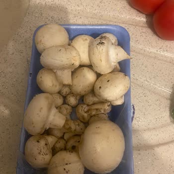 Yanıltıcı Ambalaj Ve Sözün Tutulmaması Nedeniyle Mağduriyet