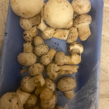 Yanıltıcı Ambalaj Ve Sözün Tutulmaması Nedeniyle Mağduriyet