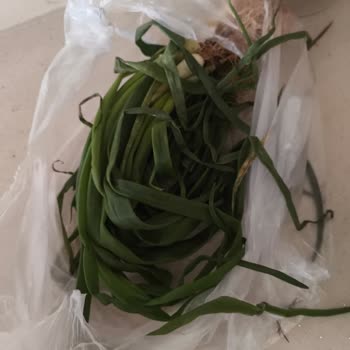 Sebze Ve Yeşilliklerde Sürekli Bozuk Ürün Sorunu