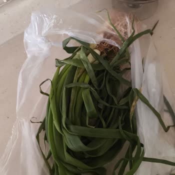 Sebze Ve Yeşilliklerde Sürekli Bozuk Ürün Sorunu