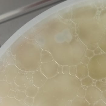 Ekici Top Peynirde Küf Sorunu Sağlık Ve Güveni Sarsıyor