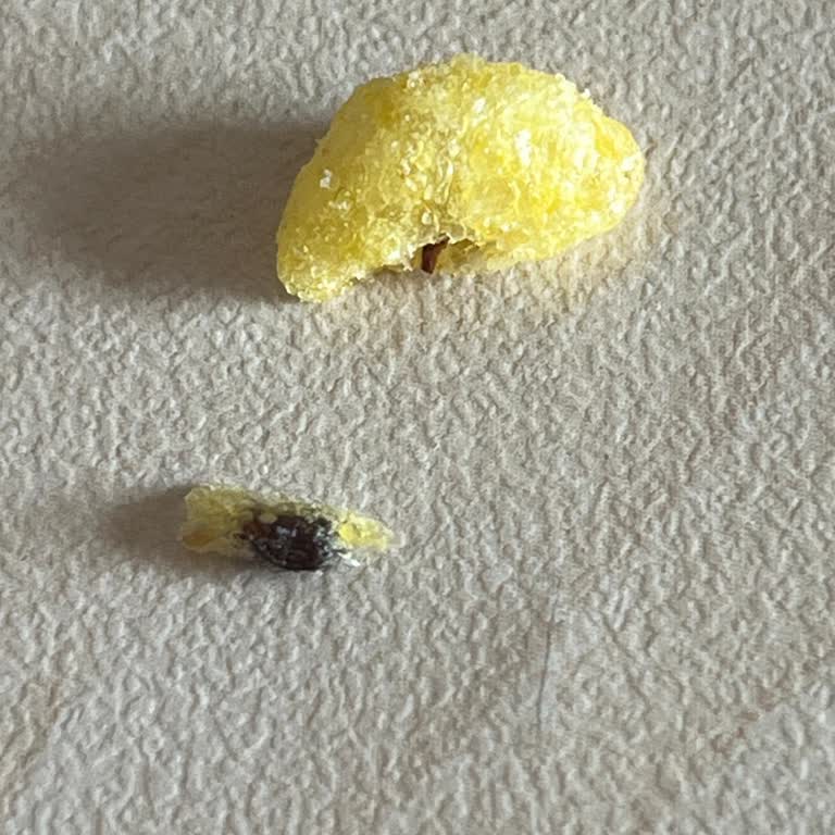 Cheetos Mini Shots Paketi İçinde Böcek Benzeri Madde Tespiti Ve Hijyen Endişesi