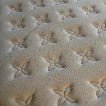 Kısa Sürede Yataktaki Çökme Ve Tomurcuklanma Şikayeti