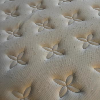 Kısa Sürede Yataktaki Çökme Ve Tomurcuklanma Şikayeti