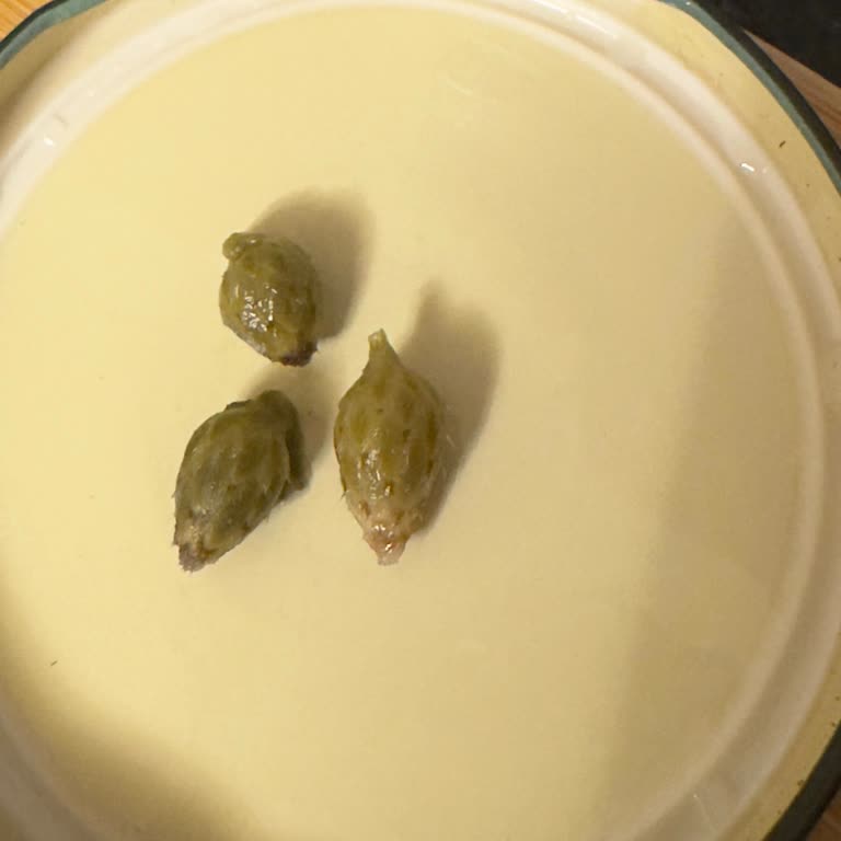 Snowy Market Garnitür Ürünün İçinden Yabancı Madde Çıktı