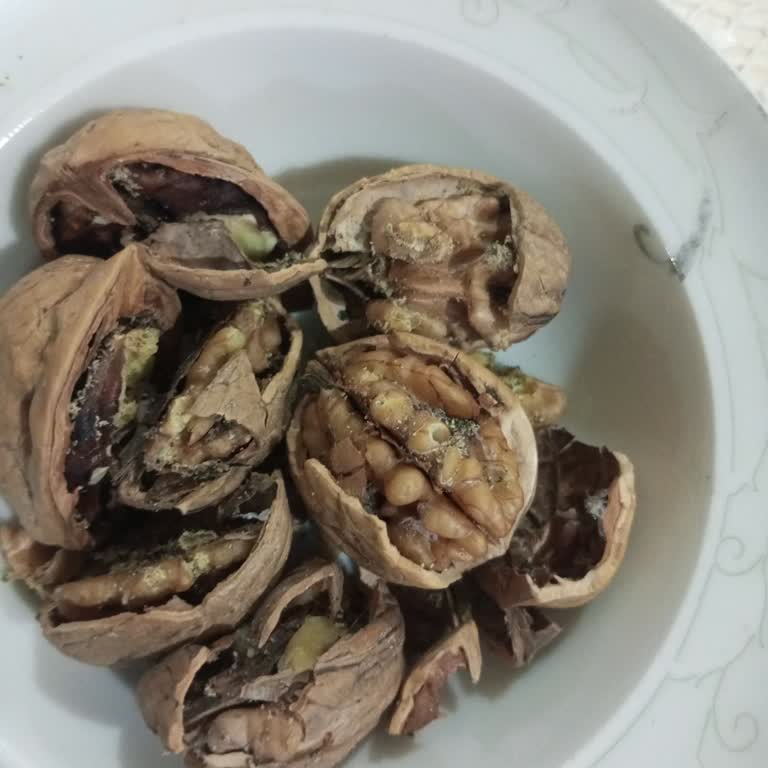 A101 Şubesinden Alınan Cevizlerde Kurt Ve Güve Sorunu İade Talebi