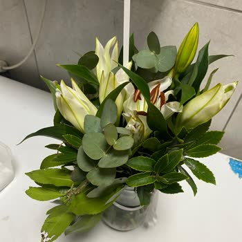 Solmuş Çiçek Teslimatı Ve İade Talebi