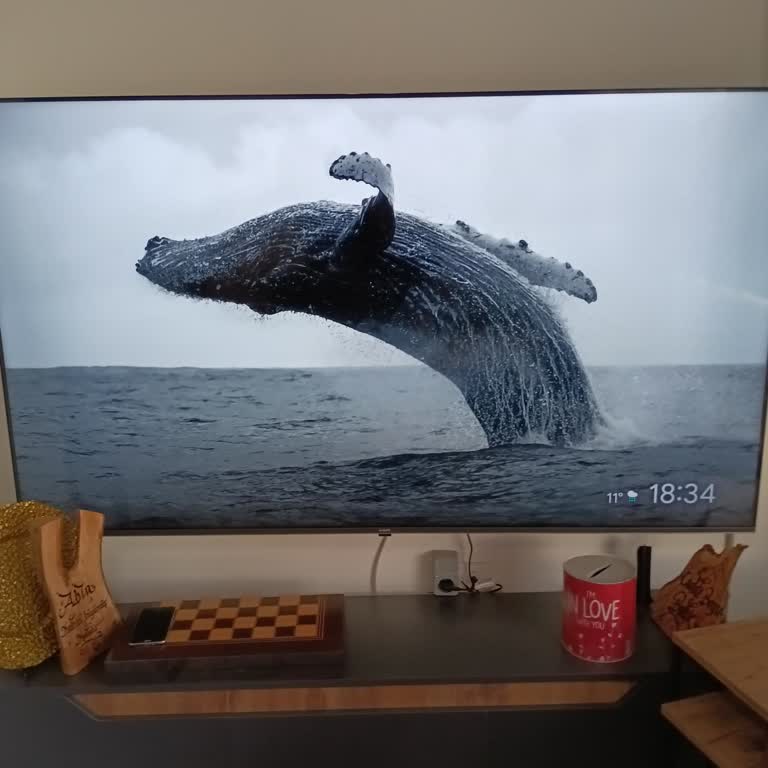 Arçelik Televizyon Kumanda Arızası Ve Kanal Kaybı, Garanti Kapsamında Servis Talebi