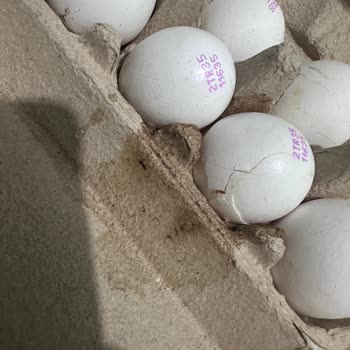 Migros Hemen’den Gelen Kırık Yumurta İçin Hijyen Sorunu Ve İade Talebi