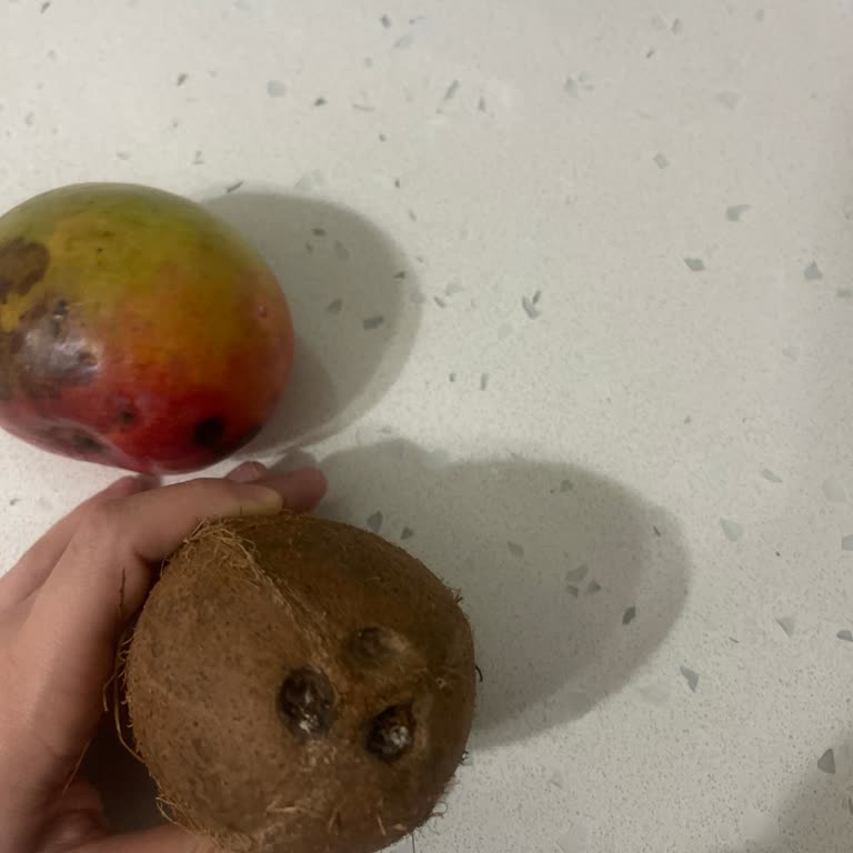 Bozuk Ve Eksik Ürünler İçin İade Ve Değişim Talebi