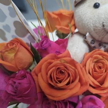 Bulanık Görseller Ve Çürük Çiçekler Nedeniyle Tam İade Talebi