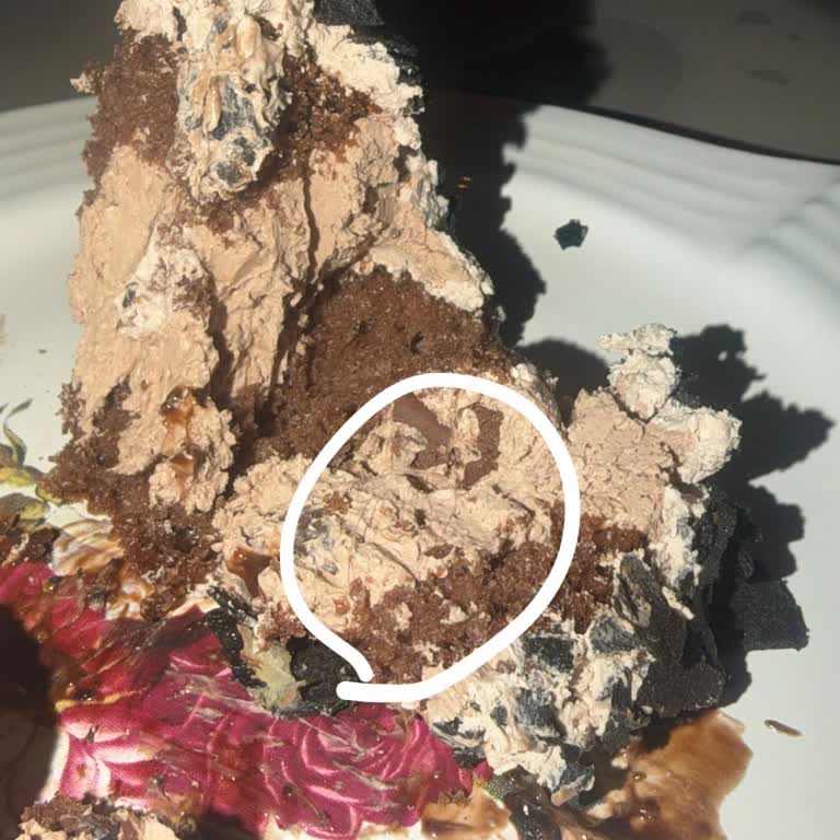 Kıl İçeren Pasta İçin Ücret İadesi Ve Hijyen Önlemleri Talebi