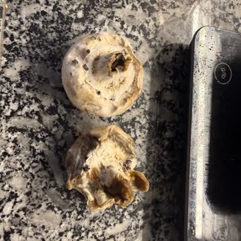 Kurtköy Migros'ta Tarihi Geçmemiş Olmasına Rağmen Küflü Mantar Satışı