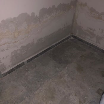 5 Yıllık Garanti Kapsamındaki Çatı Sızıntısı Ve Asansör Kartı Sorunu Çözülmedi