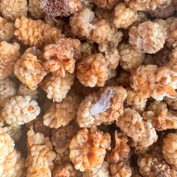 Böceklenmiş Dut Ürünü İçin İade Talebi Ve Depolama Kontrolünün İyileştirilmesi