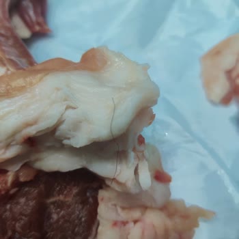 Kalıntı Yağ, Kıl Ve Kalitesiz Kuzu Pirzola Şikayeti