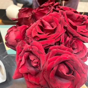 Çiçek Sepeti'nden Solmuş Ve Kırık Gül Demeti, Müşteri Hizmetleri Cevapsız