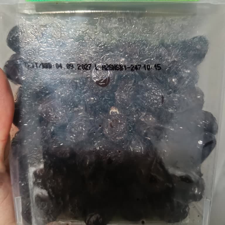 Küflü Zeytin Ürünü İçin Ücret İadesi Veya Değişim Talebi