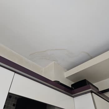 Yağmur Sonrası Teras Sızıntısı Ve Aksigorta’nın Kapsam Dışı Reddi