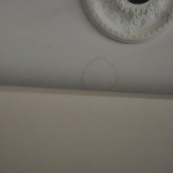 Yağmur Sonrası Teras Sızıntısı Ve Aksigorta’nın Kapsam Dışı Reddi