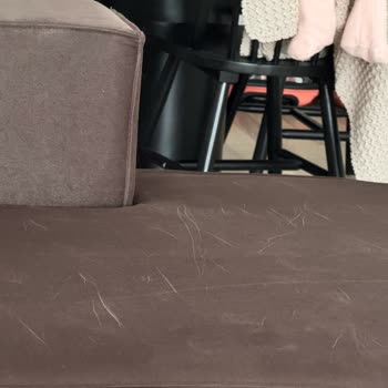 Pati Dostu Kumaş Yanıltması: Koltukta Kedi İzleri