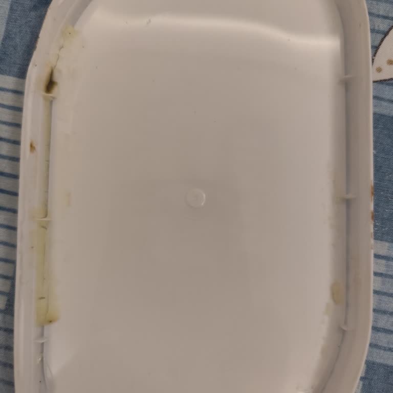 Torku Krempare Peynirinde Ambalaj Sızıntısı Ve İç Kısmın Siyahlaşması