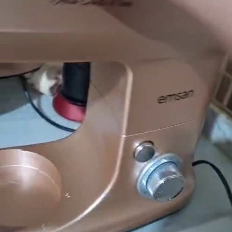 İlk Gün Arızalı Hamur Yoğurma Makinesi İade Reddi