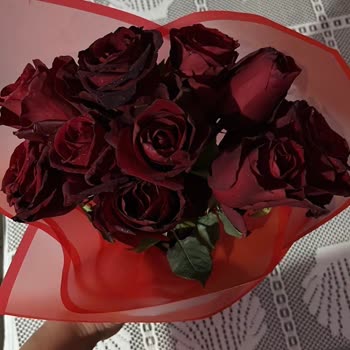 Sevgililer Günü Çiçeği Gecikmeli Ve Solmuş Teslim Edildi, Müşteri Hizmetleri Çözüm Sunmadı