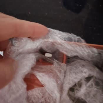 Kırık Kahve Fincanları Ve Trendyol Express’ten Çözüm Yok